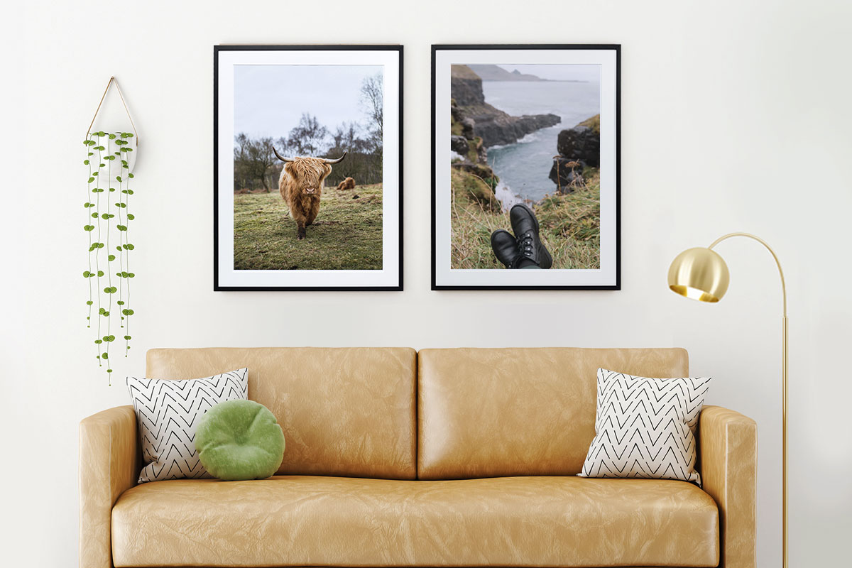 Framed prints of animals and nature in living room