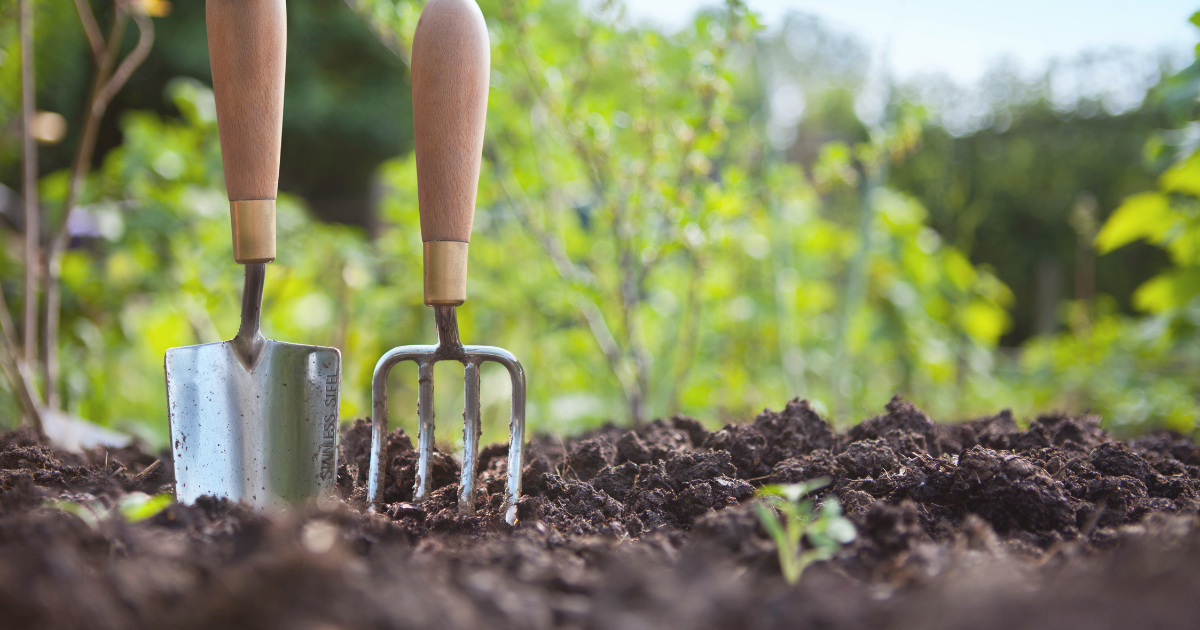 Growing Tips for Successful February Gardening.png