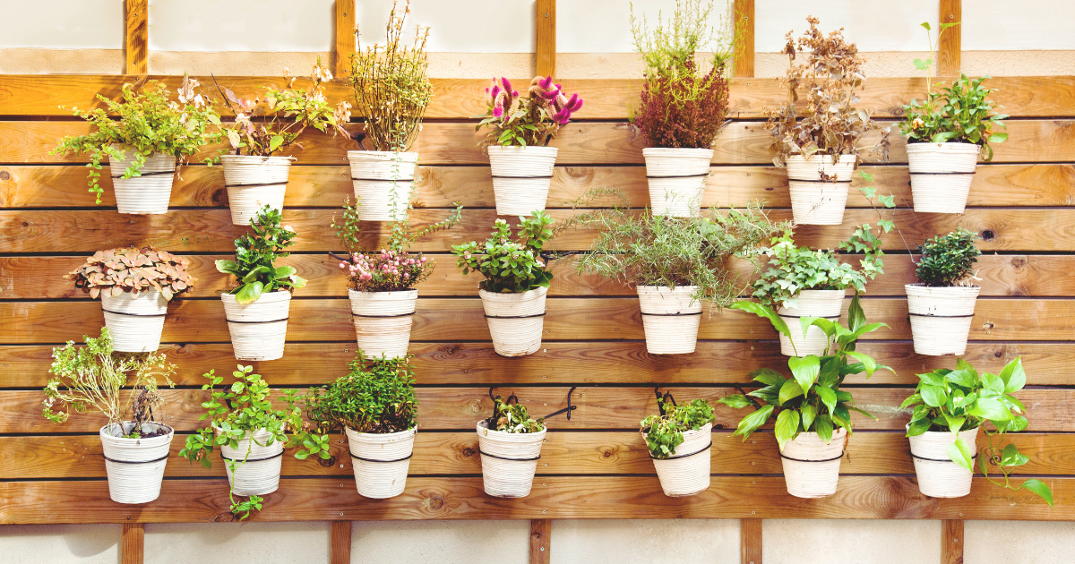 Wall-Mounted Pot Grid.png