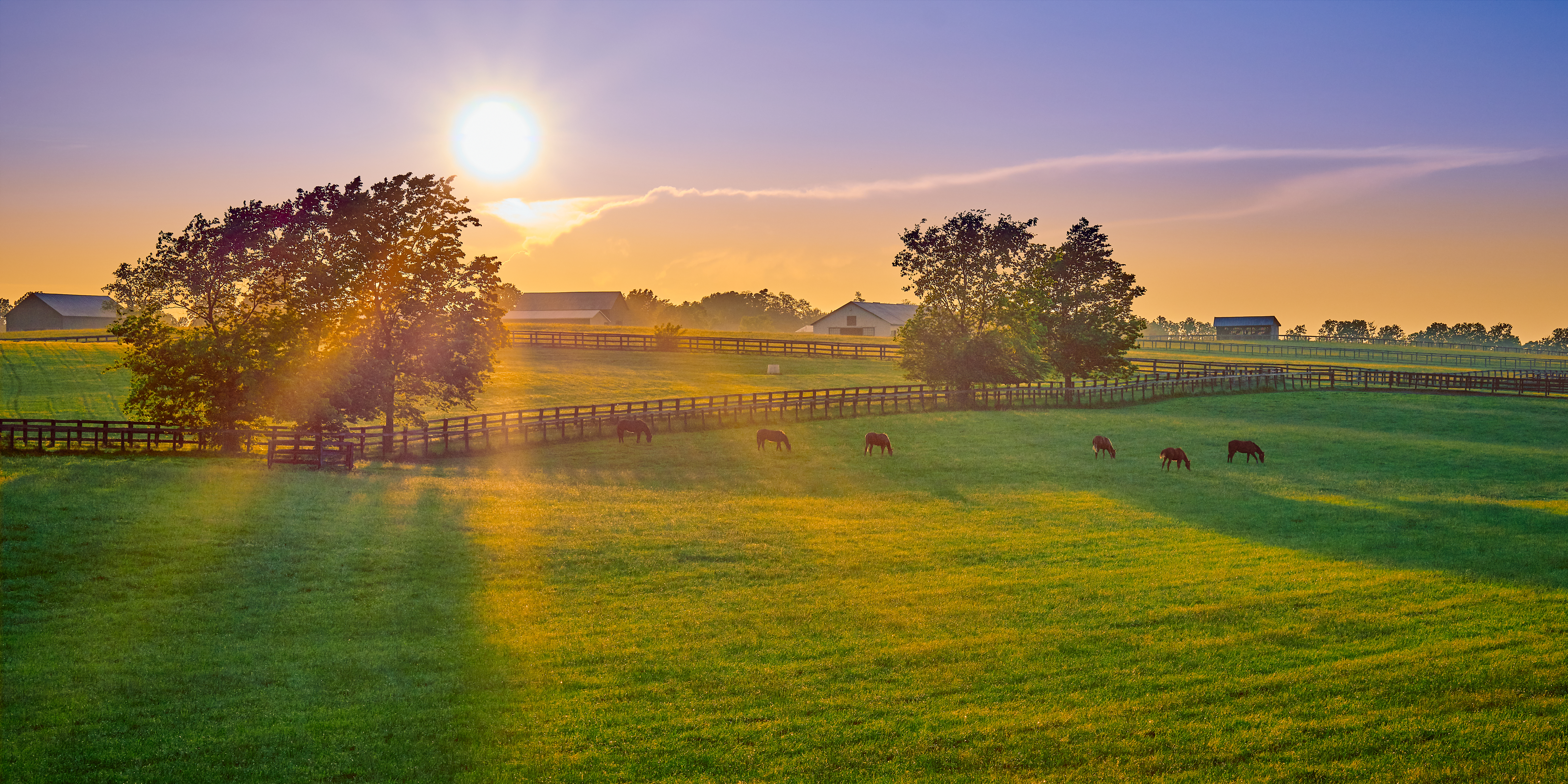 Land in Kentucky with horses grazing the fields