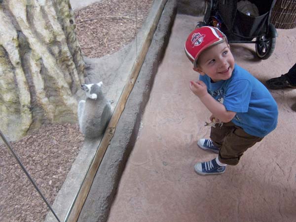 Kid with Lemur at Toronto Zoo