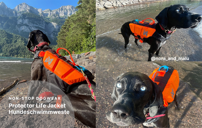 non-stop dogwear-produkttesst-schwimmweste-hund-see.jpg