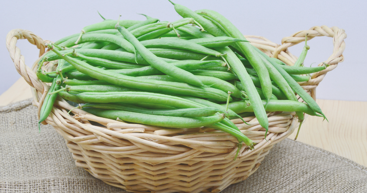 BUSH BEANS.png