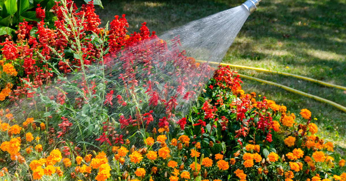 outdoor Watering.png