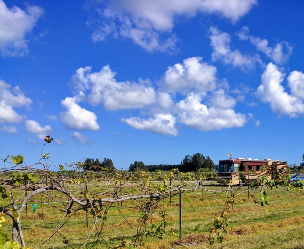 Summer Crush Winery is a Harvest Hosts favorite in sunny Florida.