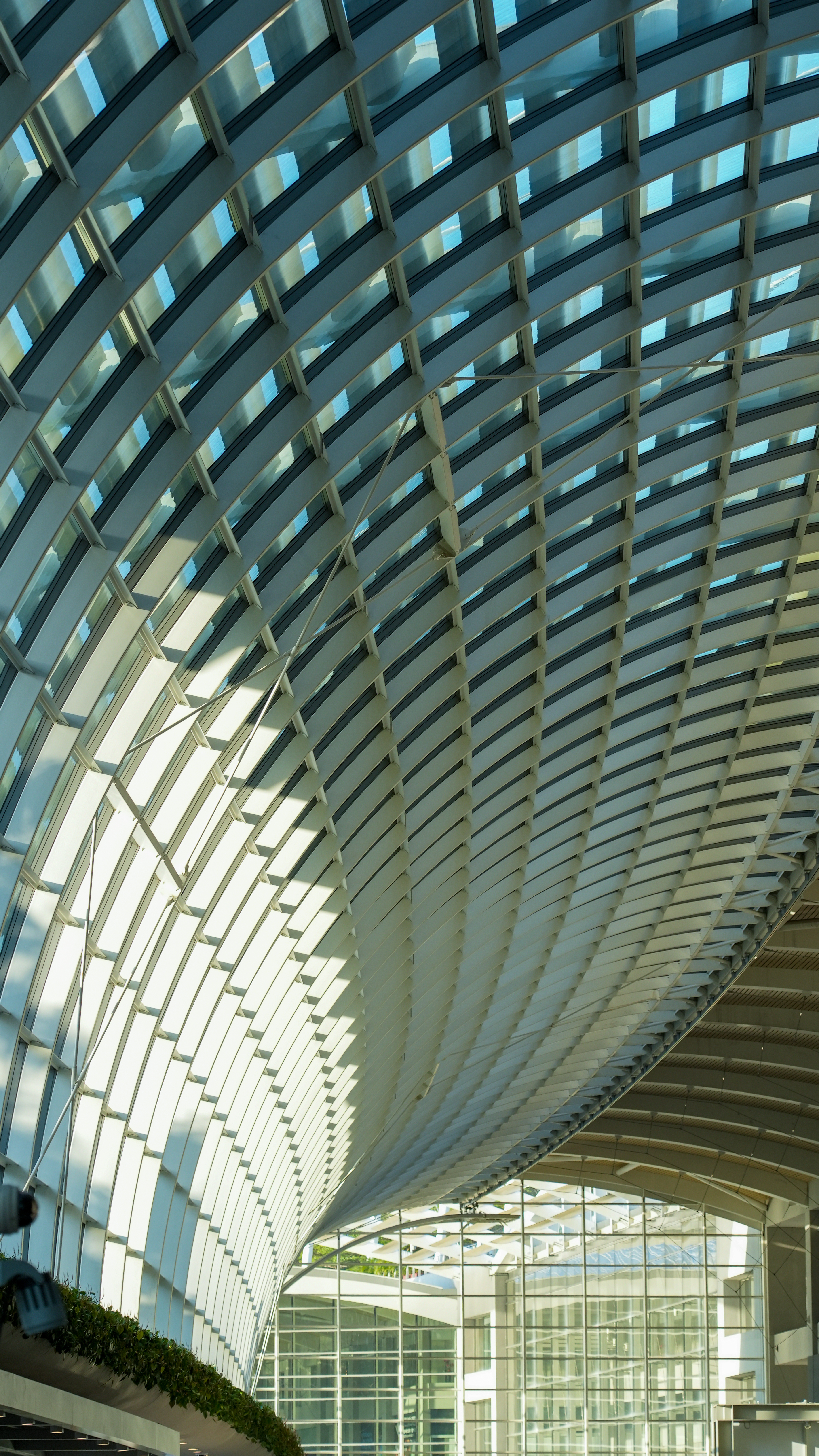 The roof of the shopping center