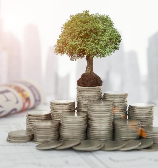 A pile of coins and a tree to depict a growing investment.