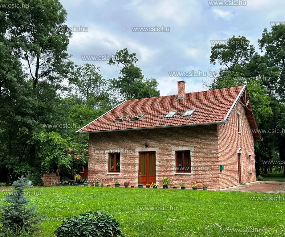 elado-csaladi-haz-szabadkigyos-93669058-t6.webp