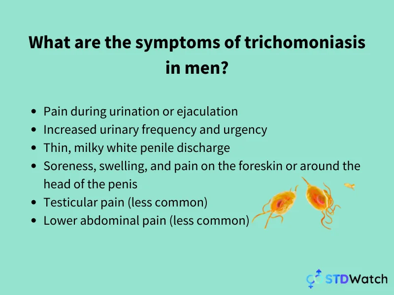 symptoms-of-trichomoniasis-in-men