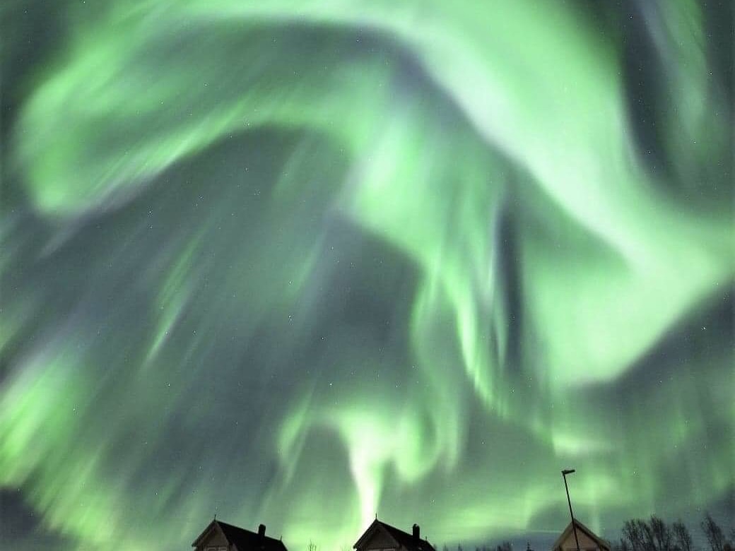 Senja Arctic Lodge northern lights.jpeg
