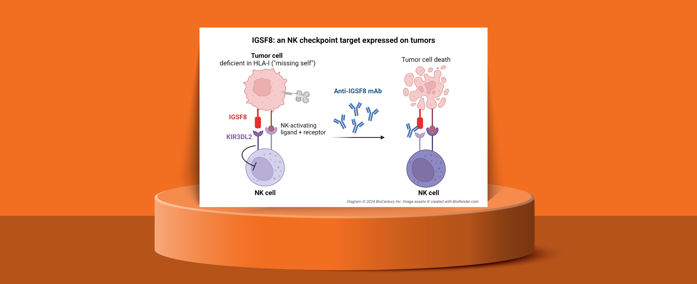BioCentury - Science spotlight: Biotechs discover new checkpoint target ...