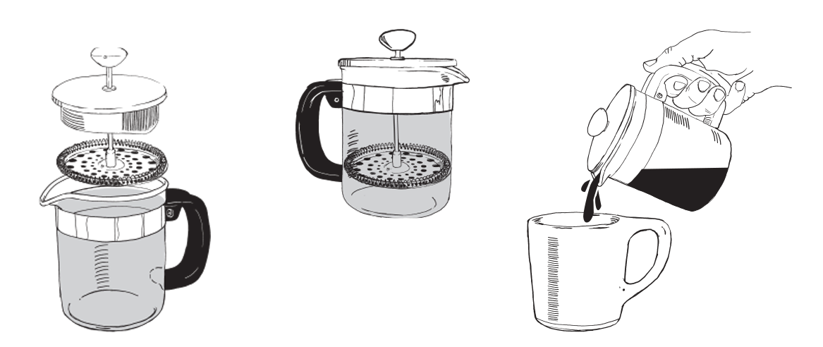 FrenchPress5.webp