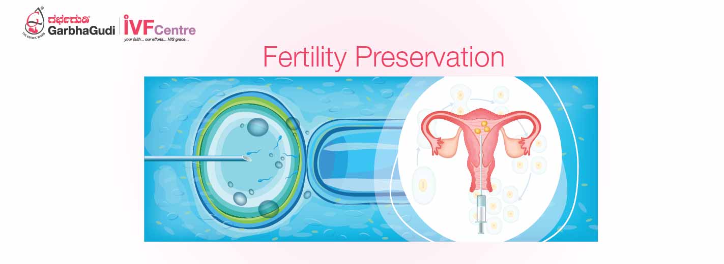 What Are Ovarian Cysts  Hann's Fertility Pharmacy