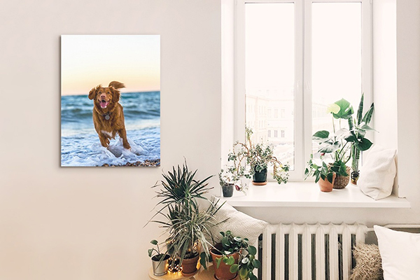 canvas print of a puppy