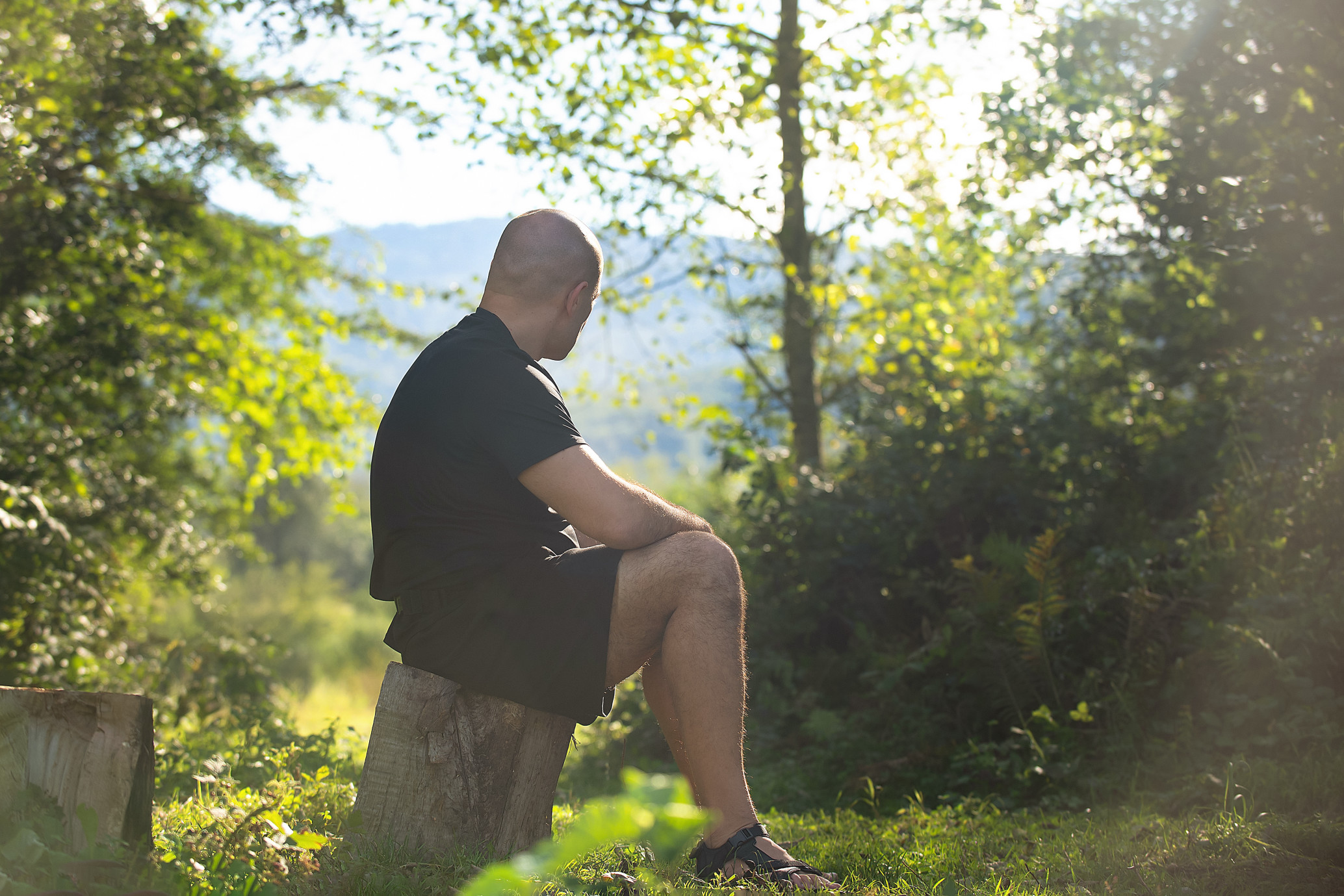 a-man-upset-alone-sits-on-a-tree-felling-in-the-forest-depressed-and-looks-ahead-where-the-light-is_t20_6nKY7Y.jpg