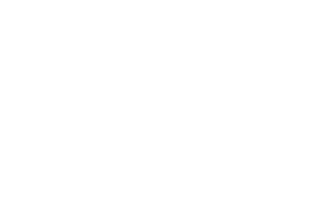 Strise logo