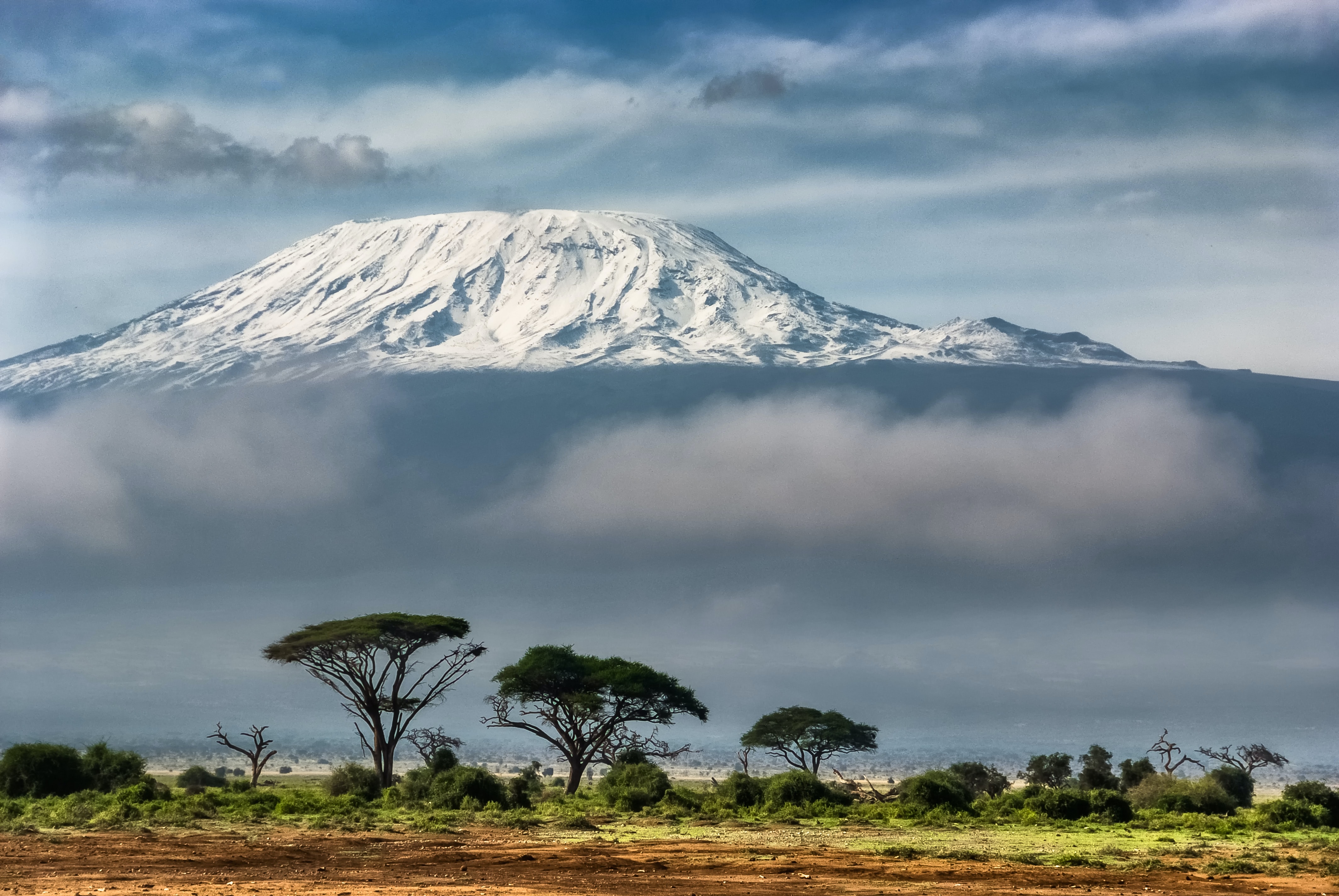 Kilimanjaro's view from the Amboseli National Park