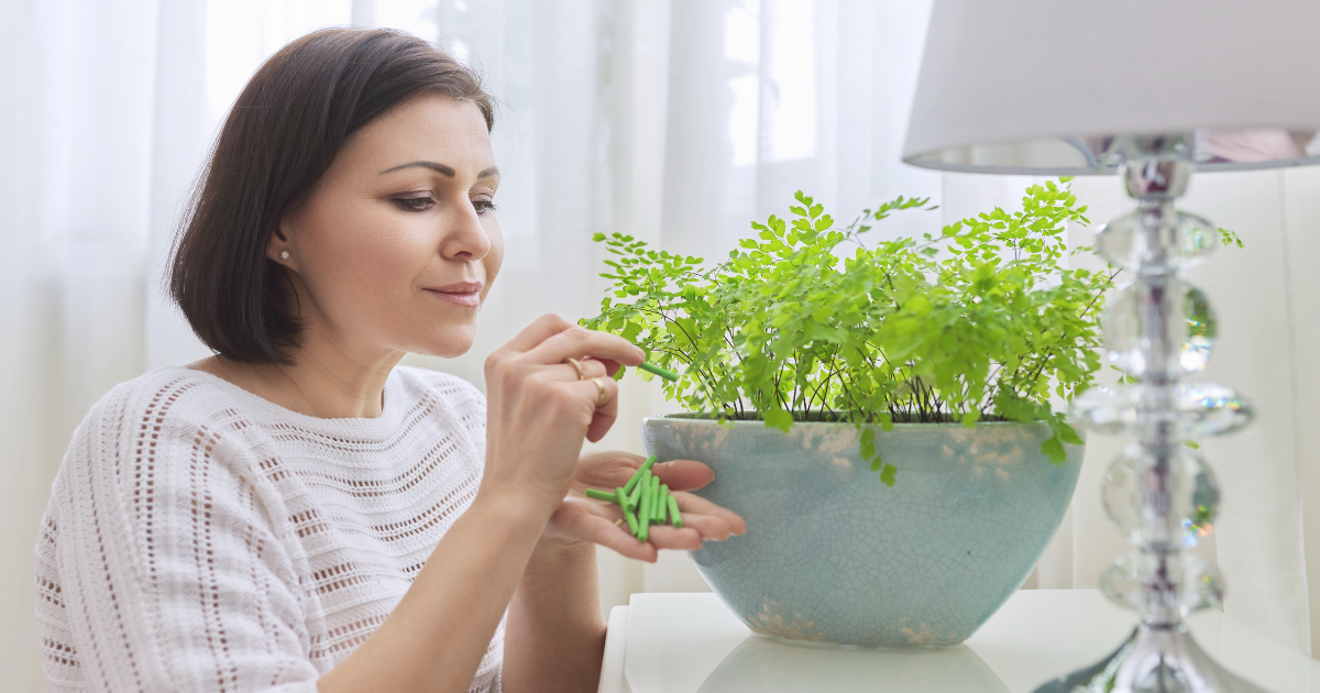 fertilizing houseplants (1).png