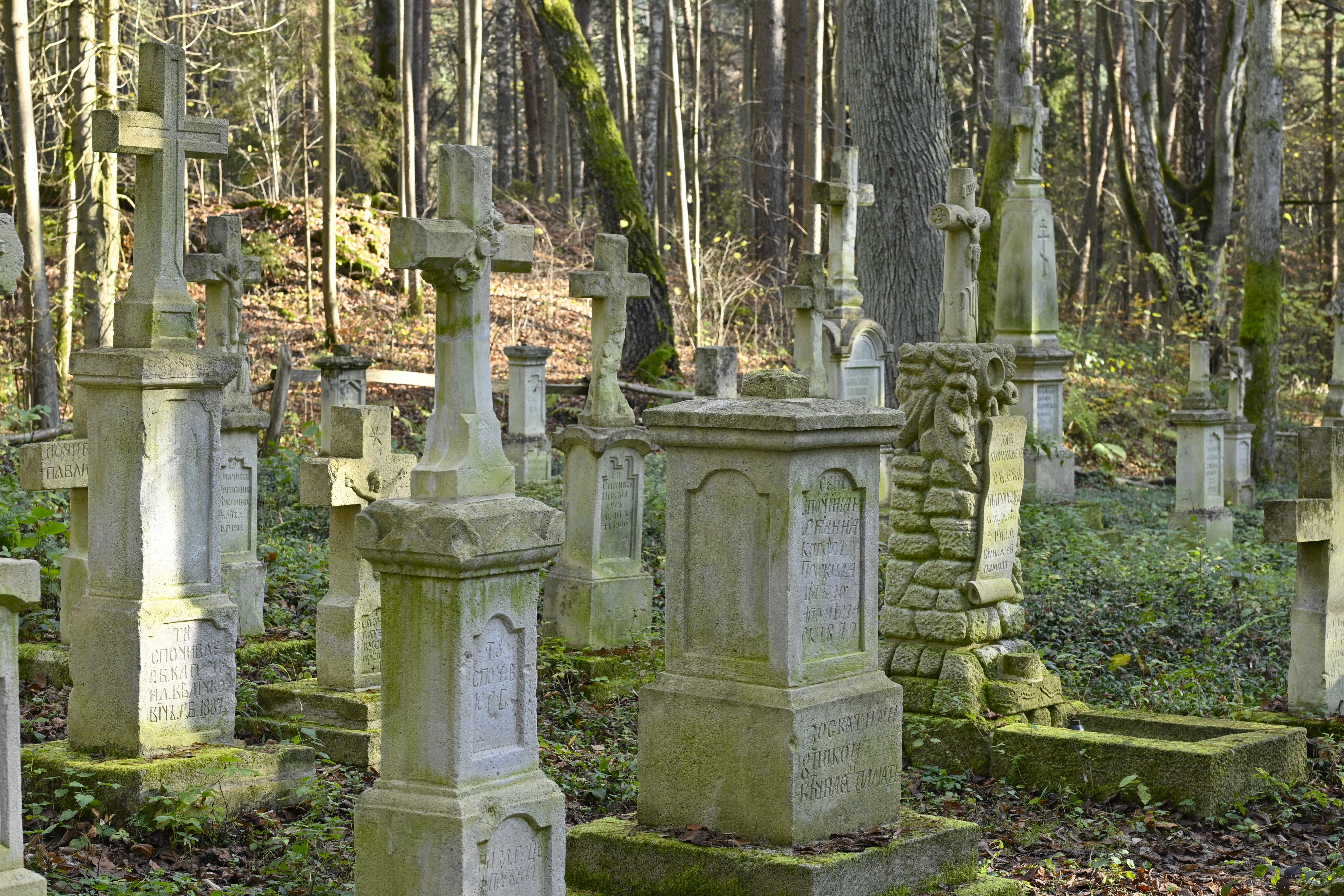 Blizny historii. Ślady II wojny światowej i nie tylko w naszej okolicy | Fragment ukrytego w lesie cmentarza. Na kamiennych postumentach z kamiennymi krzyżami u góry widoczne są epitafia pisane cyrylicą..JPG