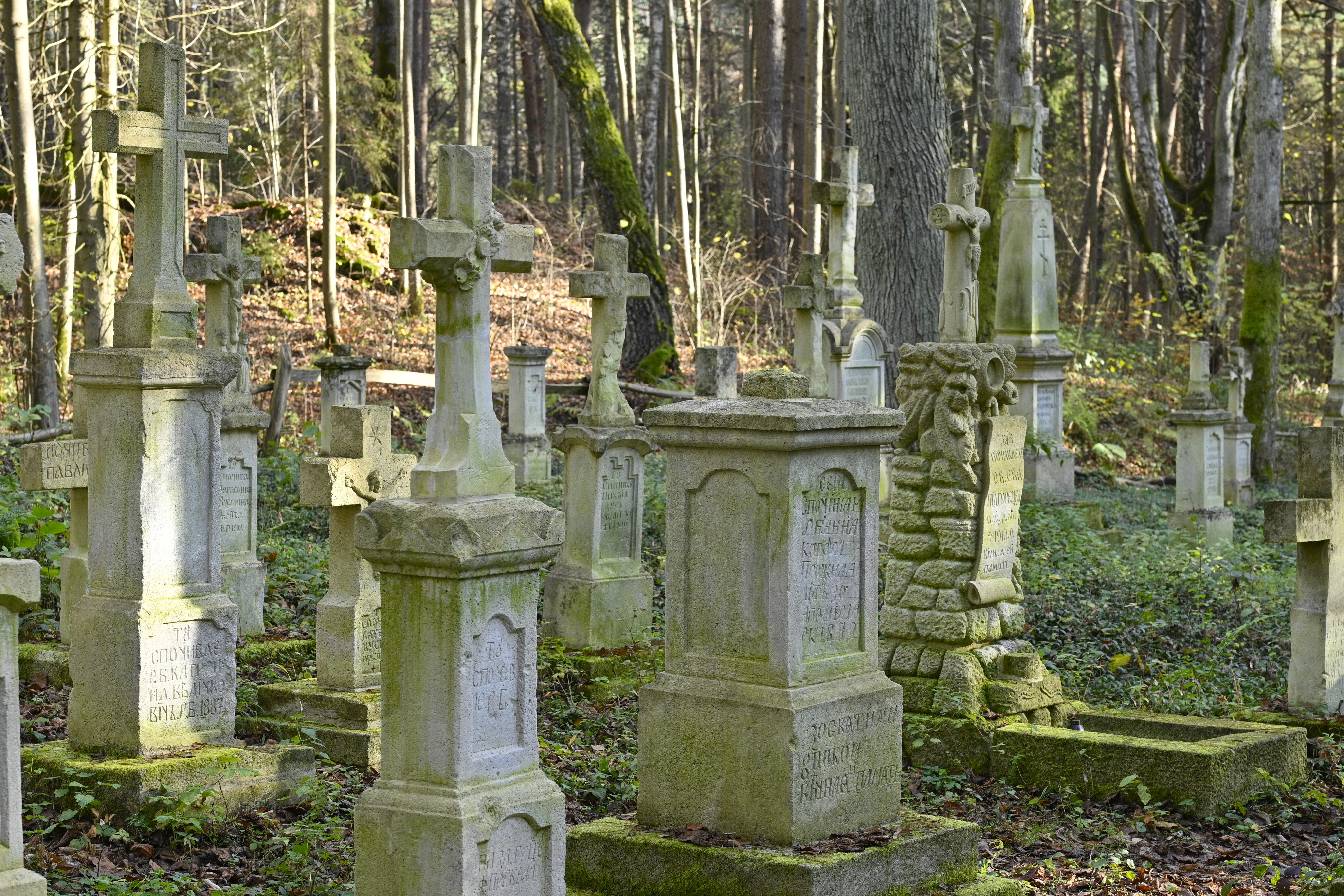 Blizny historii. Ślady II wojny światowej i nie tylko w naszej okolicy | Fragment ukrytego w lesie cmentarza. Na kamiennych postumentach z kamiennymi krzyżami u góry widoczne są epitafia pisane cyrylicą..JPG