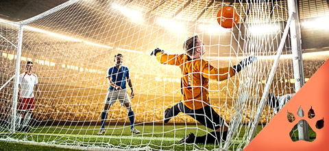 Curiosità sul Calcio | News & Blog LeoVegas Sport