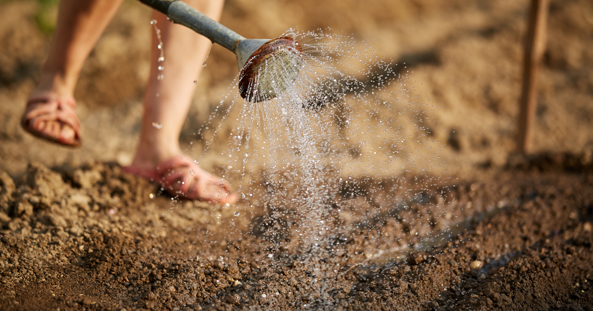 watering soil.png