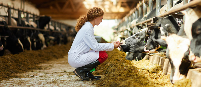 Animal Technician