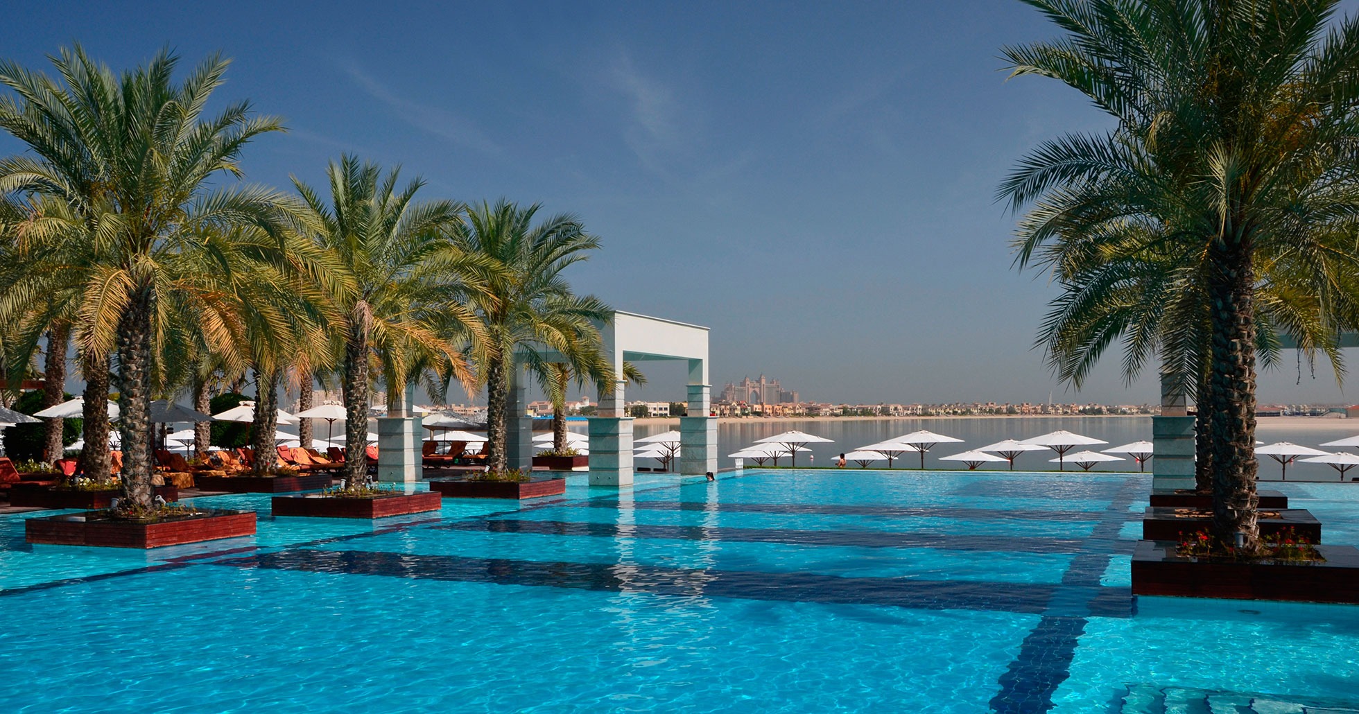 zabeel_1.jpg zabeel_1.jpg