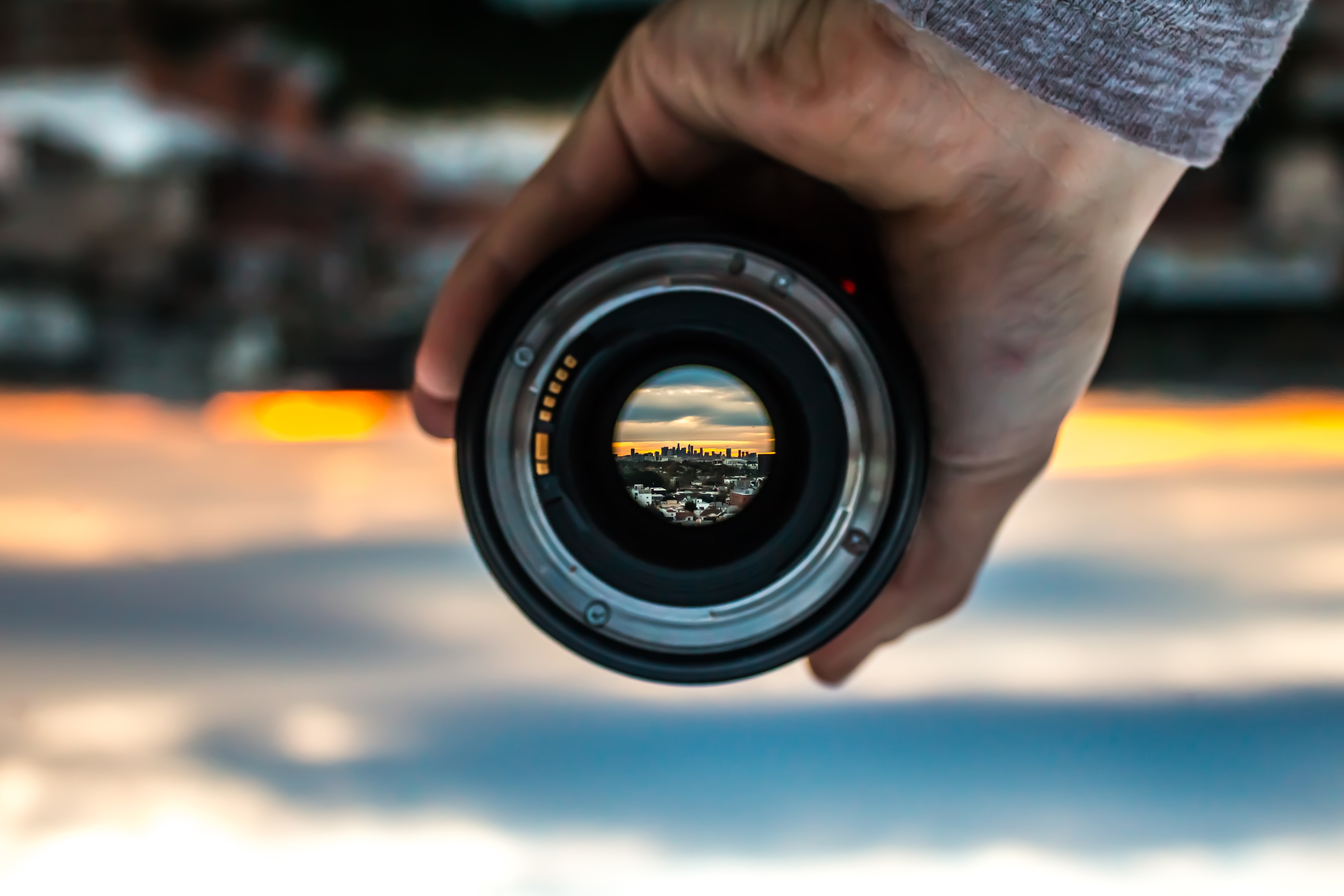 Focus image from unsplash. Photo by Devin Avery on Unsplash