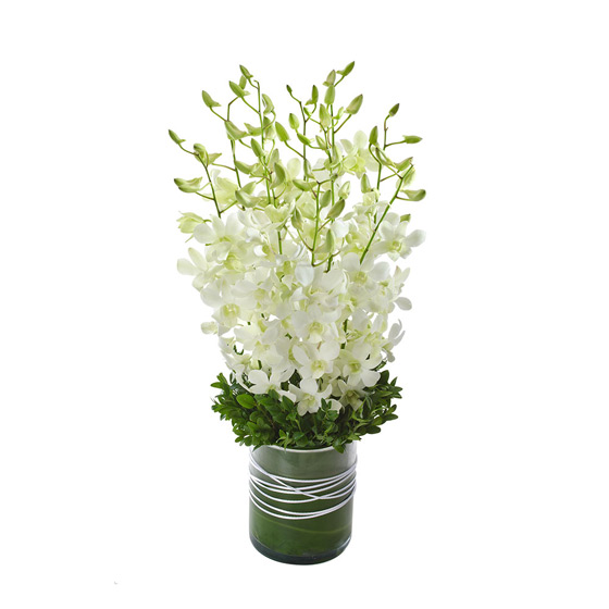 Why Do We Have Flowers at Funerals?