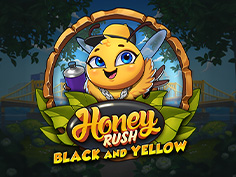 Honey Rush Black And Yellow