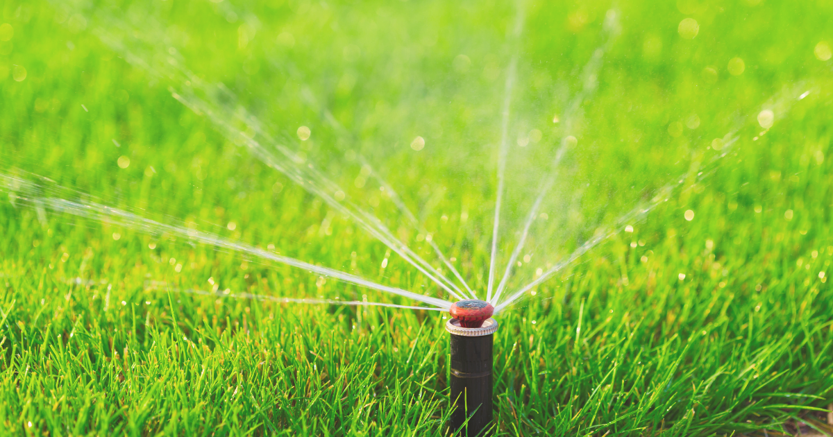 Lawn Watering Strategies.png
