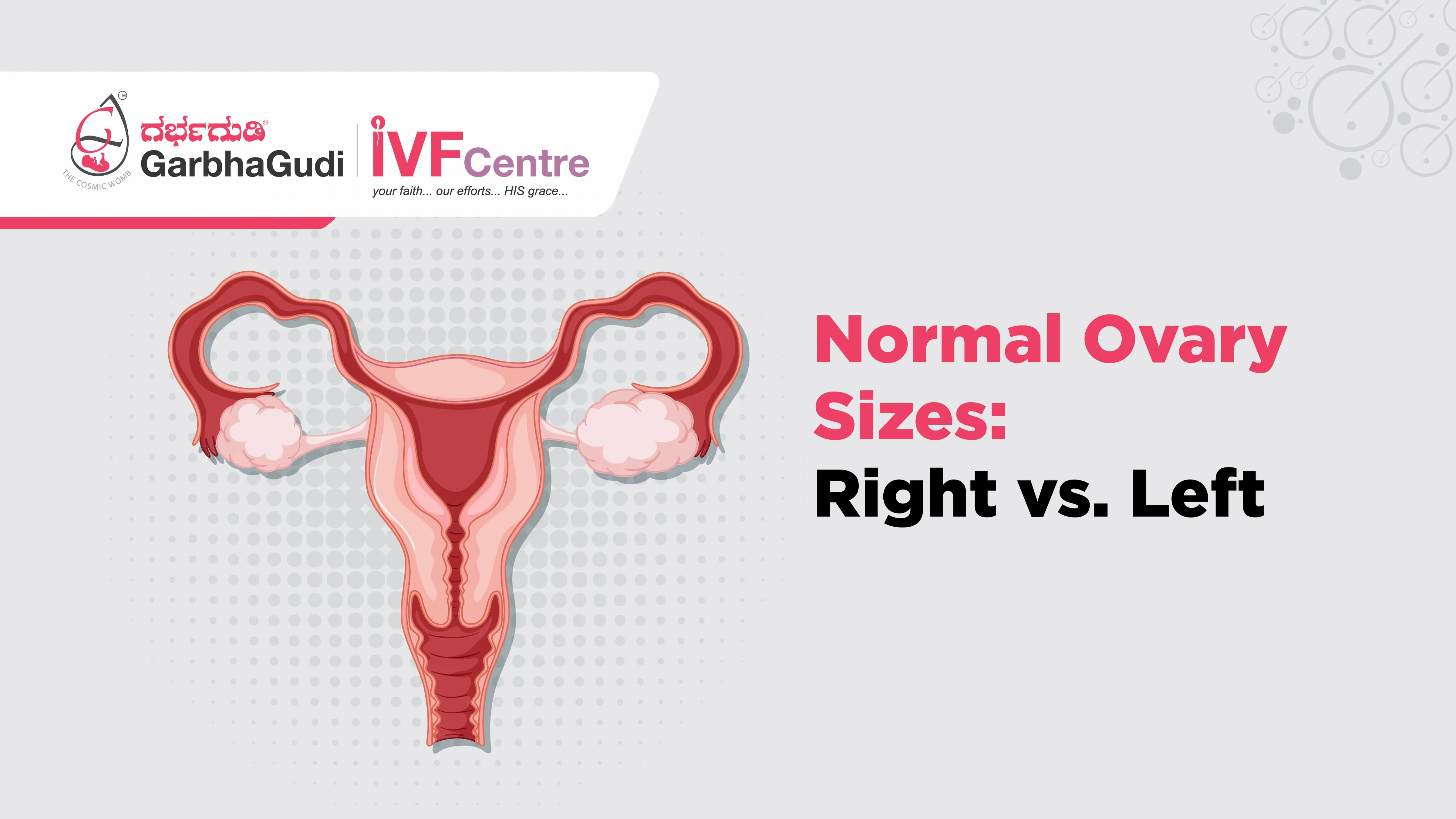 Normal Ovary Sizes: Right vs. Left