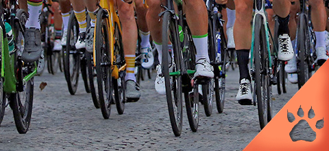 Tour de France 2022 - Partecipanti, Percorso, Albo D’oro - News & Blog LeoVegas Sport