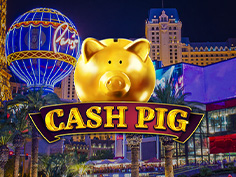 Cash Pig