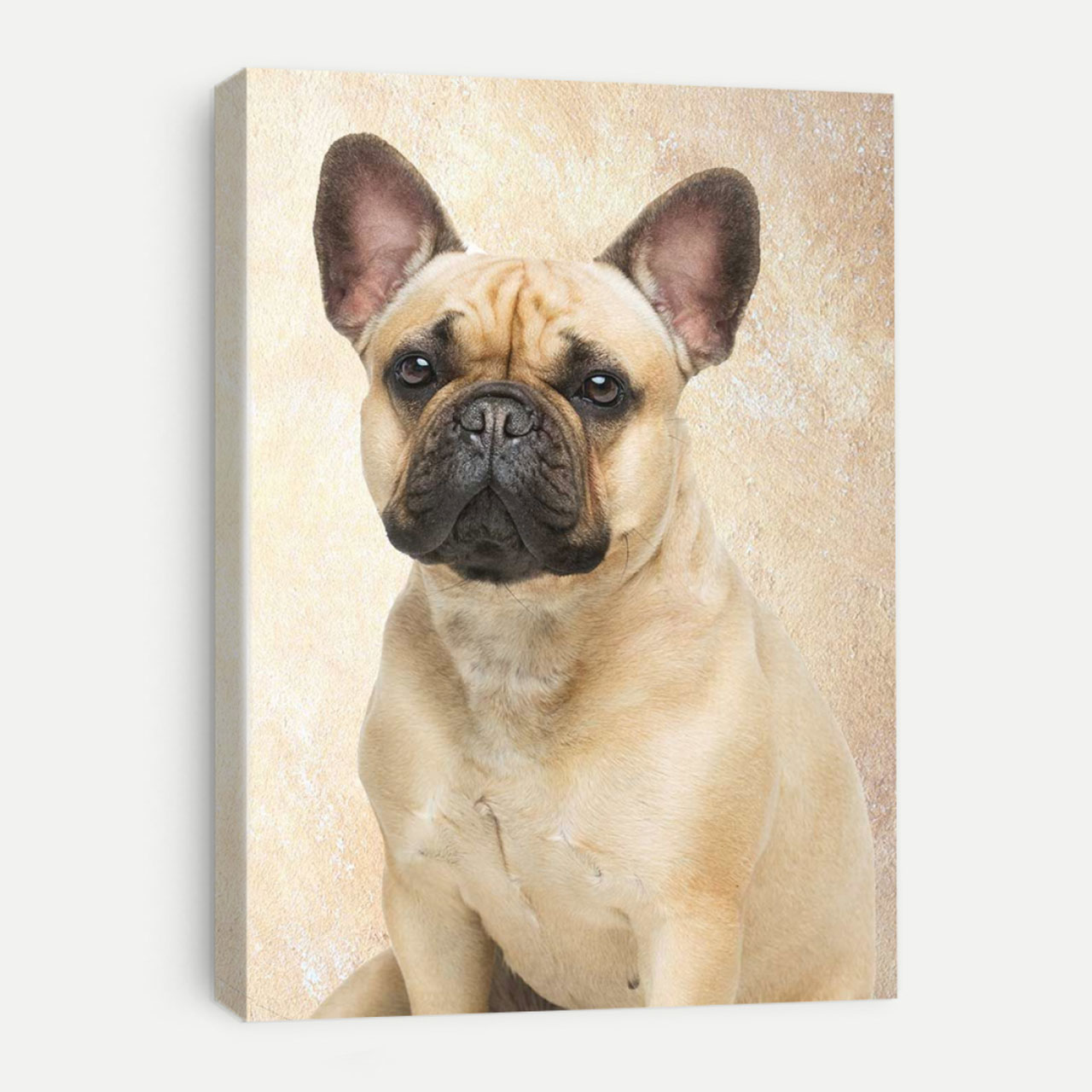 A canvas print displaying a photo of a French Bulldog