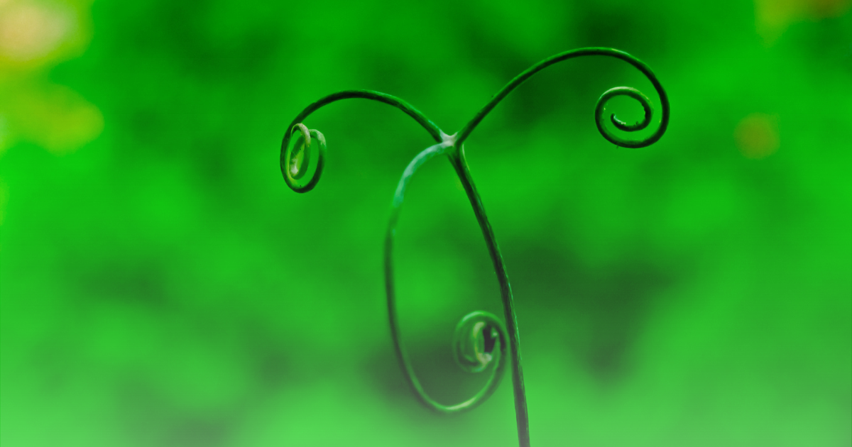 Tendril Climbers.png