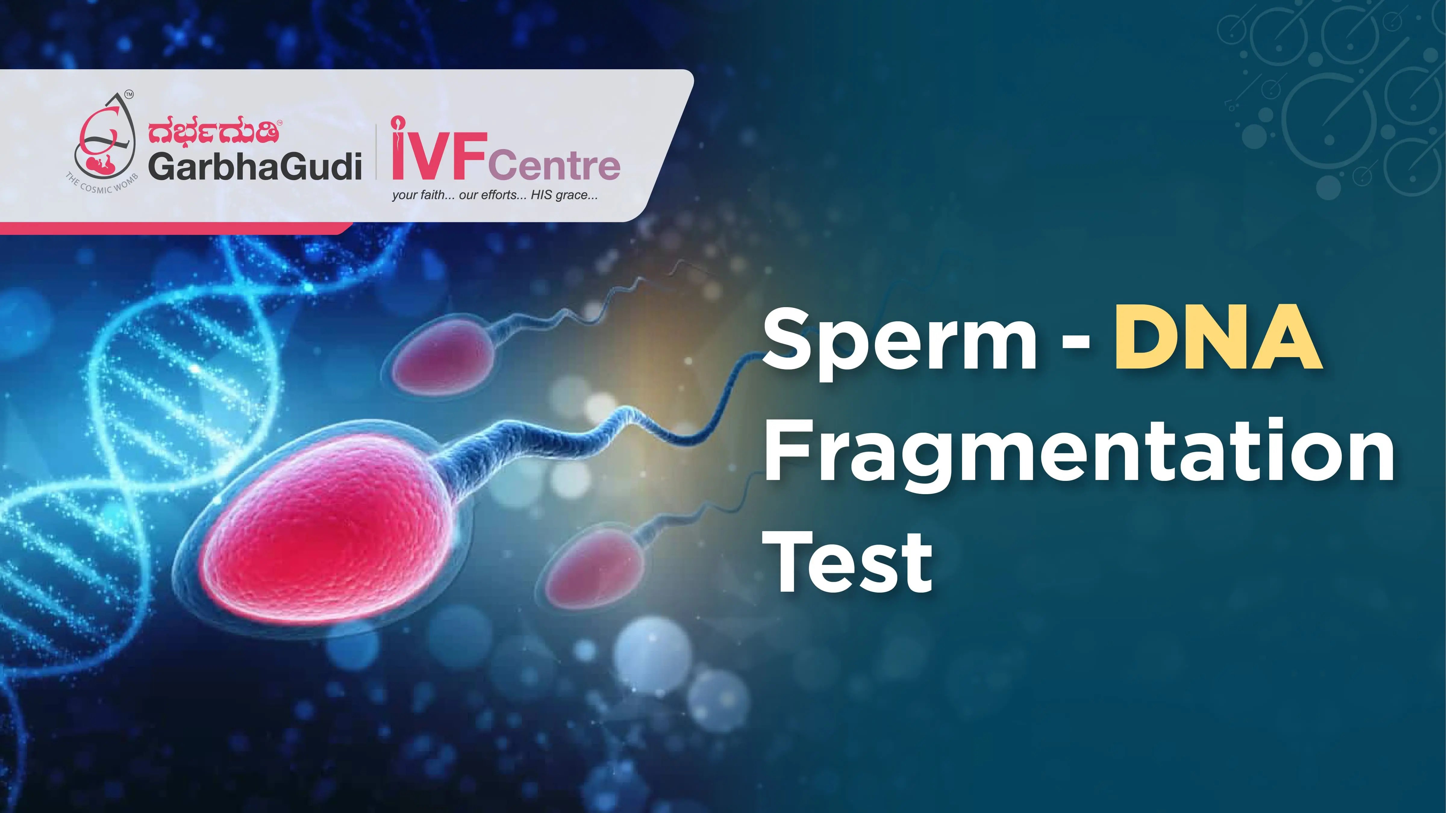 Sperm - DNA Fragmentation Test