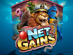 Net Gains