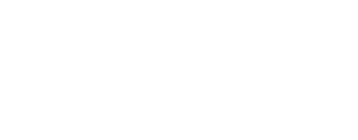 Near Foundation