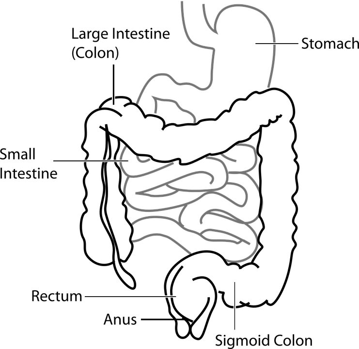 img condition