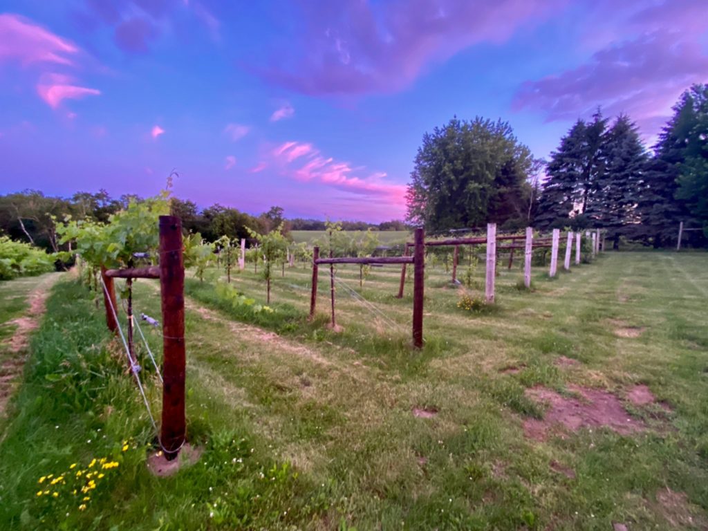 Garvin Heights Vineyard is an awesome Harvest Hosts location in Michigan.