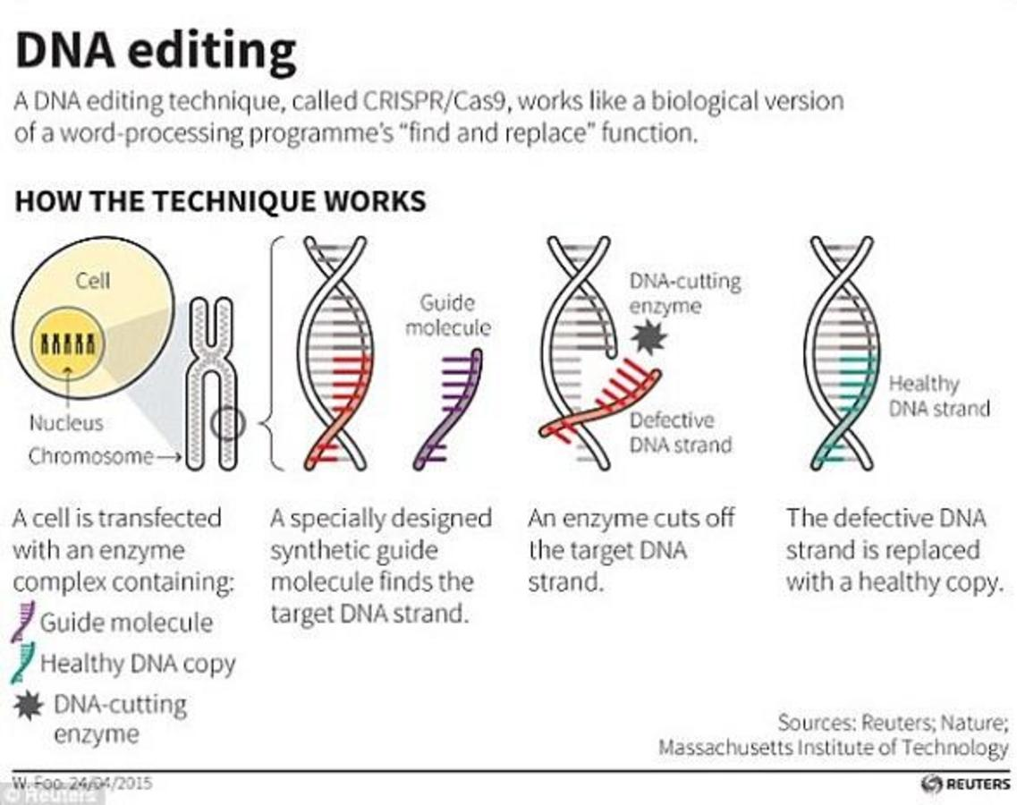 DNA_EDITING.png