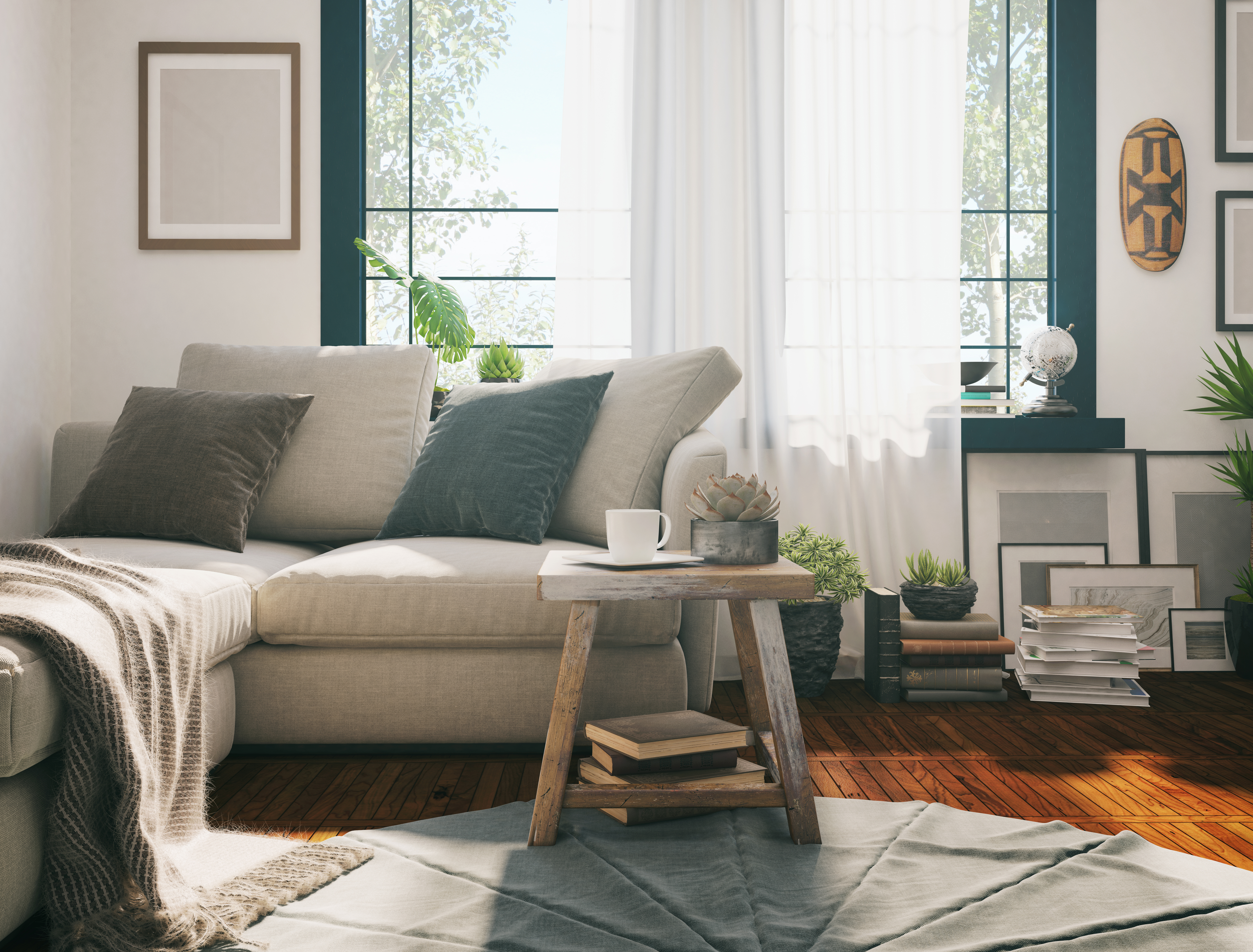 Sunlight coming through the window in a cozy living room