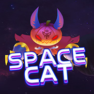 Space Cat