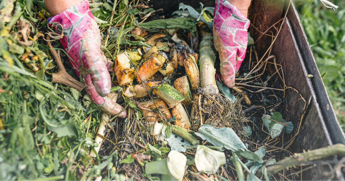 Compost and Organic Matter.png