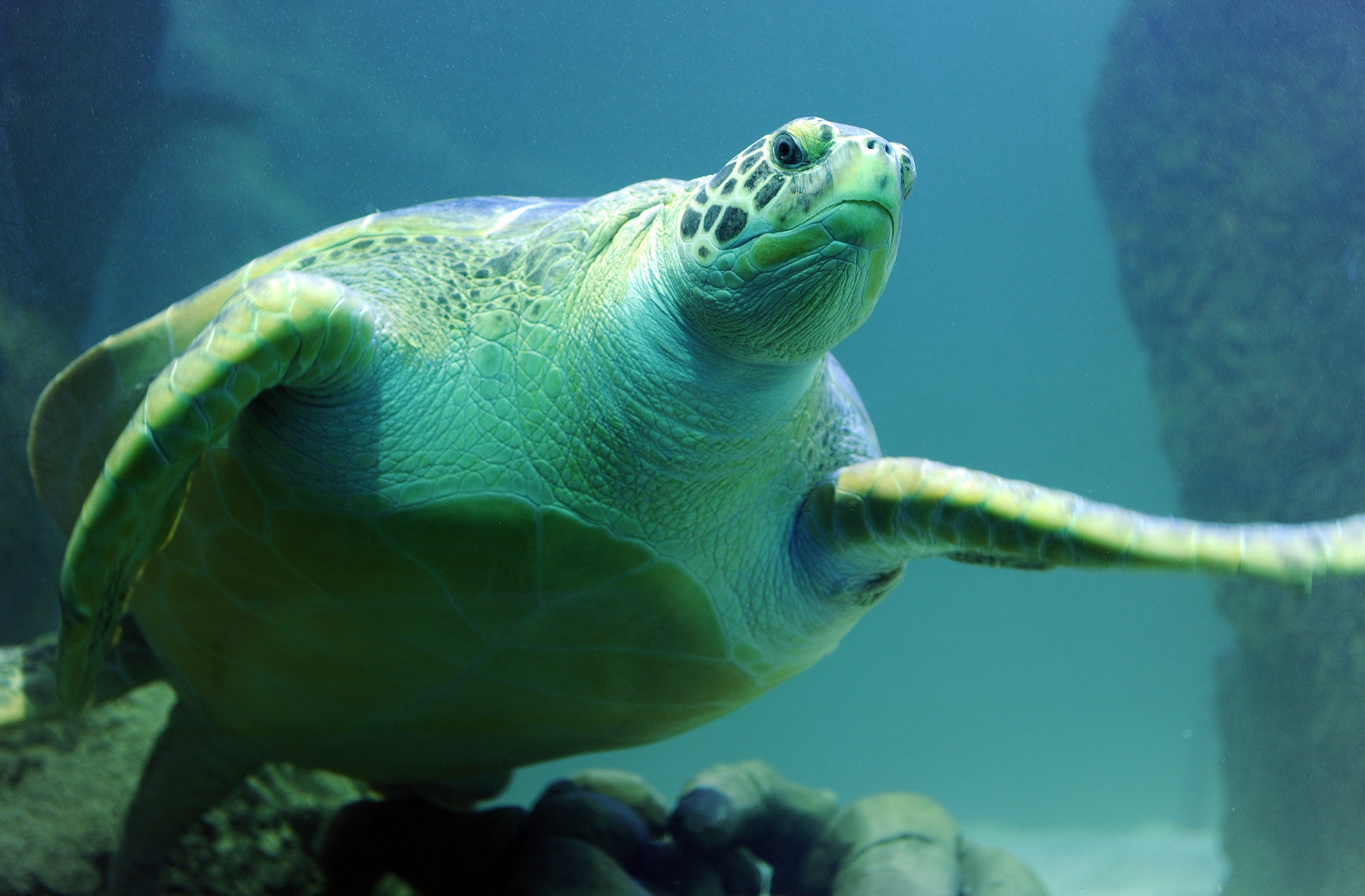 6464_JD_SEA_LIFE_HUNSTANTON12.jpg