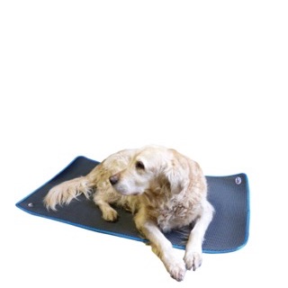 Cosypad_dog__2_.jpg