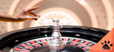 La guida al galateo dello spin alla roulette (Guida aggiornata al 2023) | News & Blog LeoVegas 