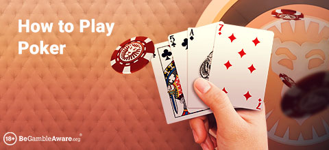 How To Play Poker - Learn the online card game at LeoVegas